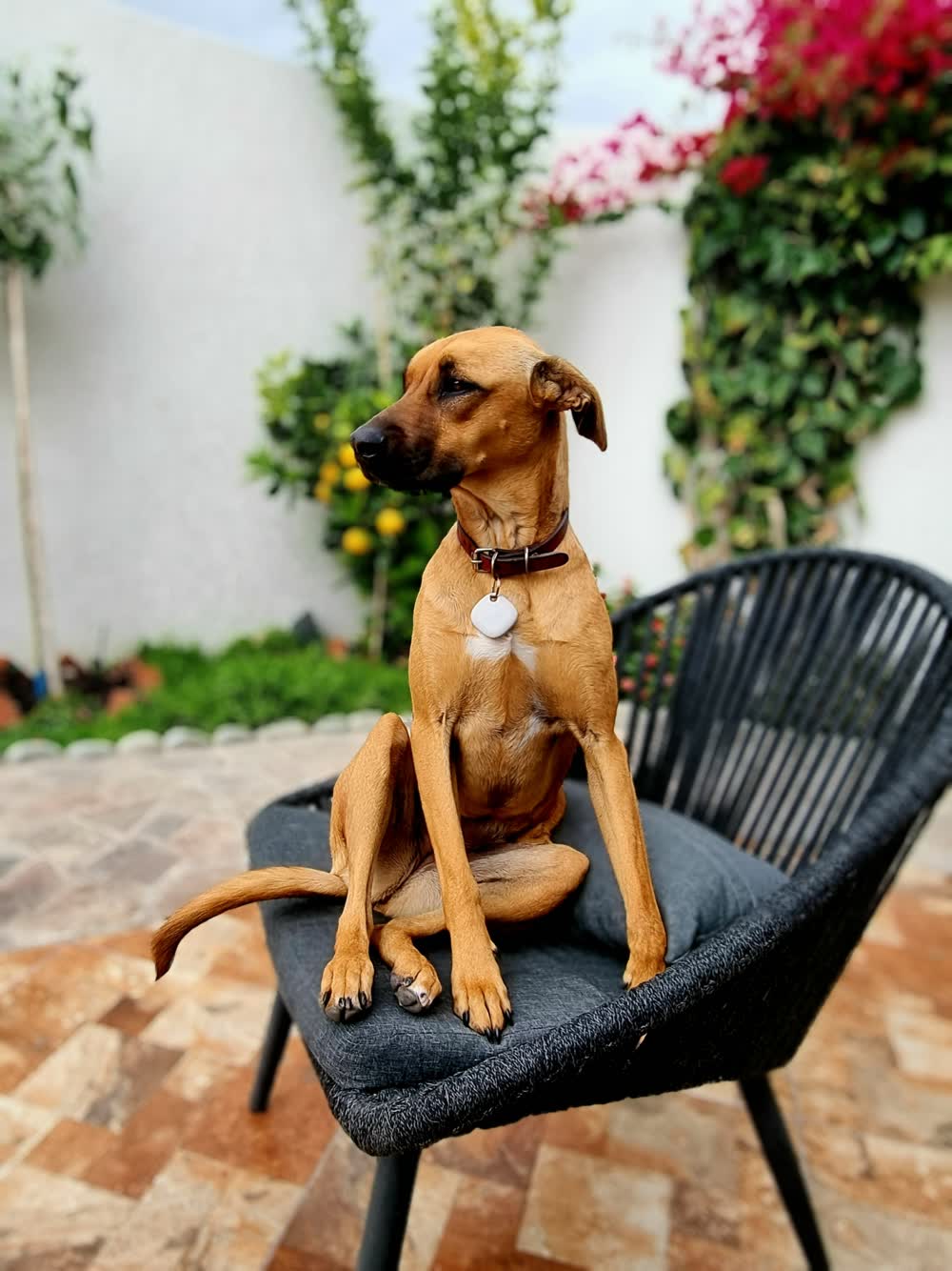 Rina on her chair